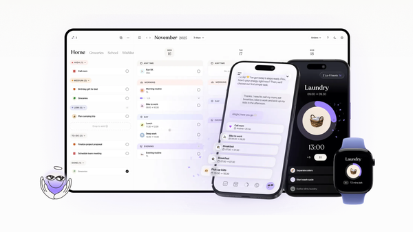 The app that turned my schedule into something my brain could read